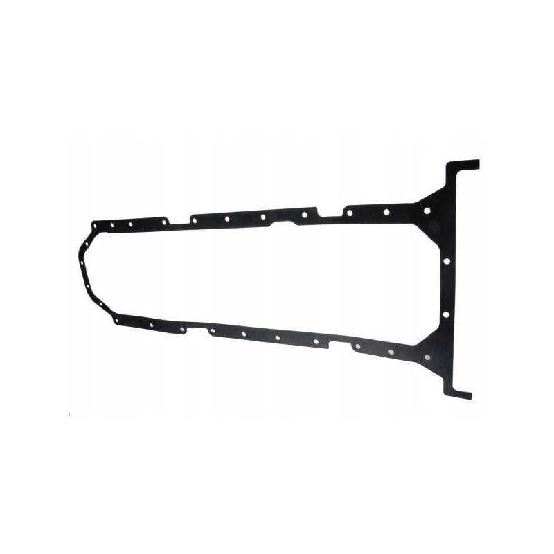 Alyvos kasetės tarpiklis 6 cil. C 385 Čekų