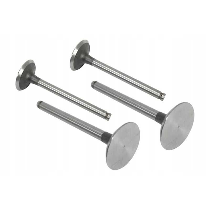 Vpa1100 įsiurbimo vožtuvas