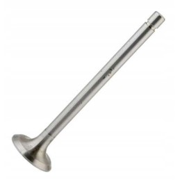 Mtz išmetimo vožtuvas pigus