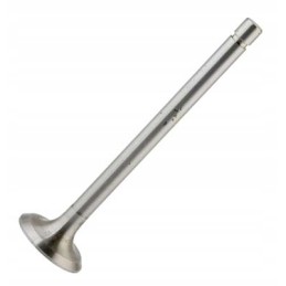 Mtz išmetimo vožtuvas pigus