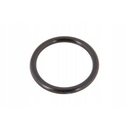 Ct6005025979 filtro galvutės sandarinimo žiedas