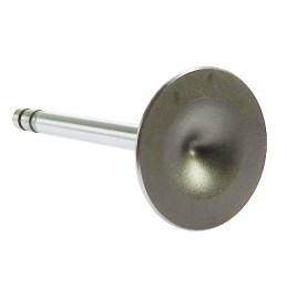 Įsiurbimo vožtuvas Wladimirec T 25 Andoria mot