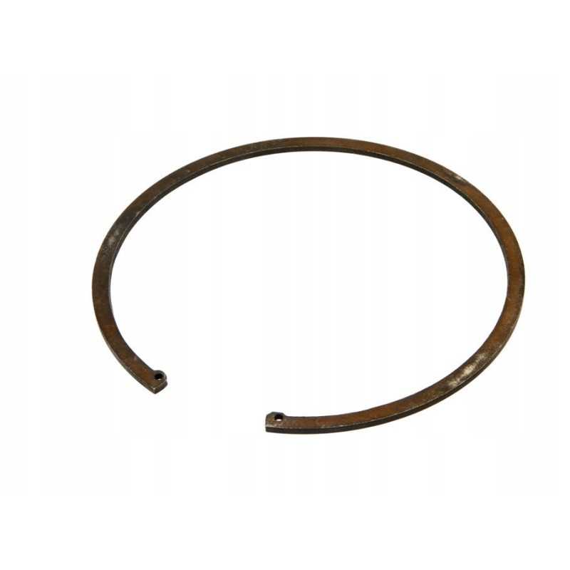 Pis06020002 vidinis seger žiedas