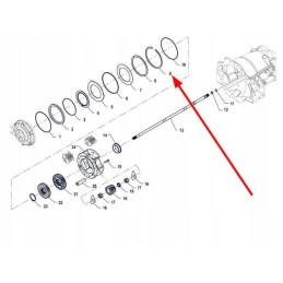 Pis06020002 vidinis seger žiedas