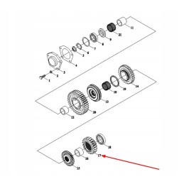 Tb604 372t 06 krumpliaratis, 4 pavara