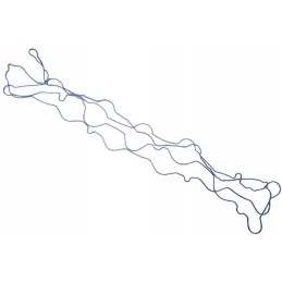 Vožtuvo dangtelio tarpinė