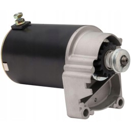 Briggs stratton vejapjovės starteris