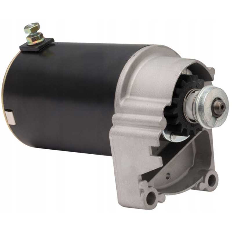 Briggs stratton vejapjovės starteris