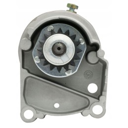 Briggs stratton vejapjovės starteris