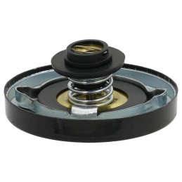 AT29054n plieninis radiatoriaus dangtelis jd