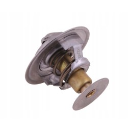 Termostatas 2485613 Landini Polmo