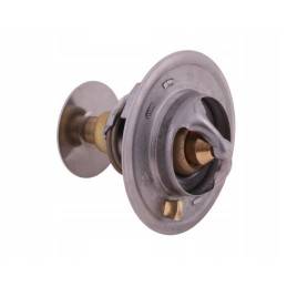 Termostatas 2485613 Landini Polmo