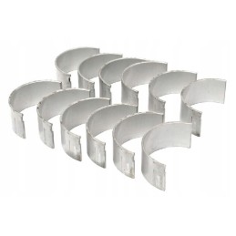 Vpc2960 švaistiklio guolių komplektas