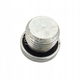 Hidraulinis kaištis su sandarikliu 3 8