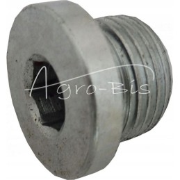 Hidraulinis kaištis su sandarikliu 3 8