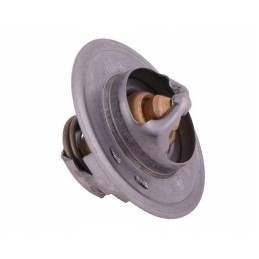 Termostatas 83913835 Ford Polmo