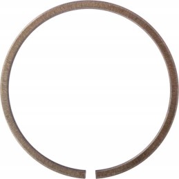 Išsiplėtimo atraminis žiedas ina fag sp90