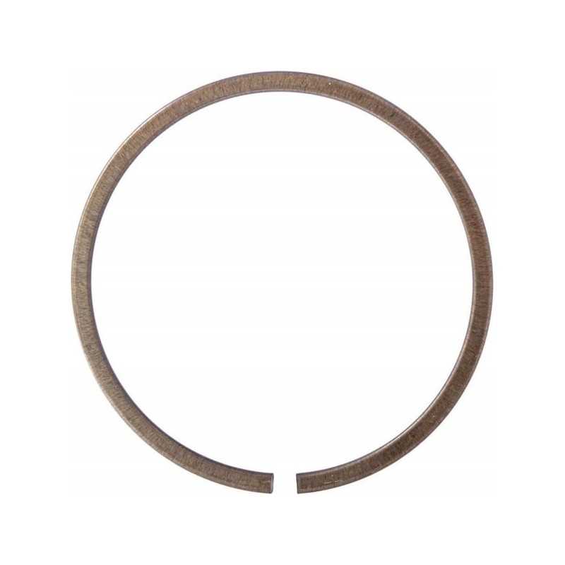 Išsiplėtimo atraminis žiedas ina fag sp90