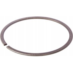 Išsiplėtimo atraminis žiedas ina fag sp90