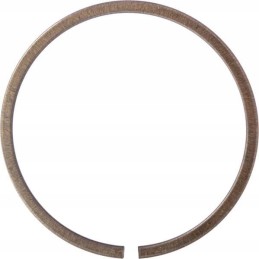 Išsiplėtimo atraminis žiedas ina fag sp90