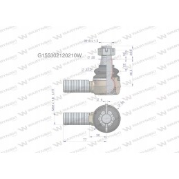 Vairo jungtis 77mm m22x1 5l g155302120210