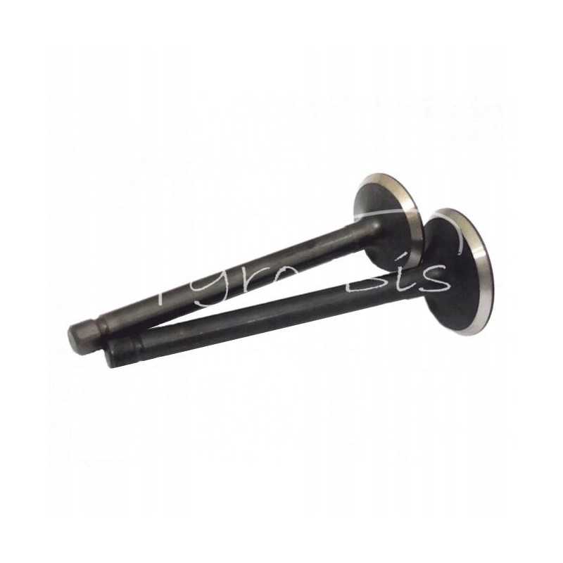 Kubota v2403 variklio vožtuvų komplektas, įsiurbimas ir atleidimas