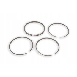 747041z91 stūmoklio žiedų rinkinys