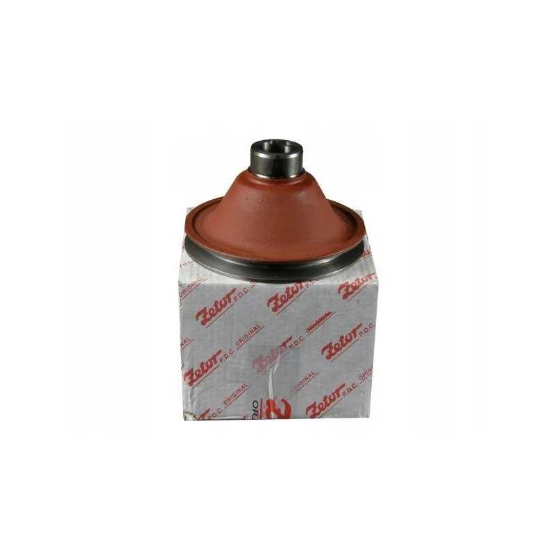 Zetor variklio skriemulys 69010363