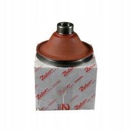 Zetor variklio skriemulys 69010363