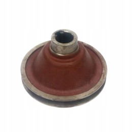 Zetor variklio skriemulys 69010363