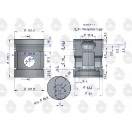 Variklio remonto komplektas S312 C 330 328 Warynski
