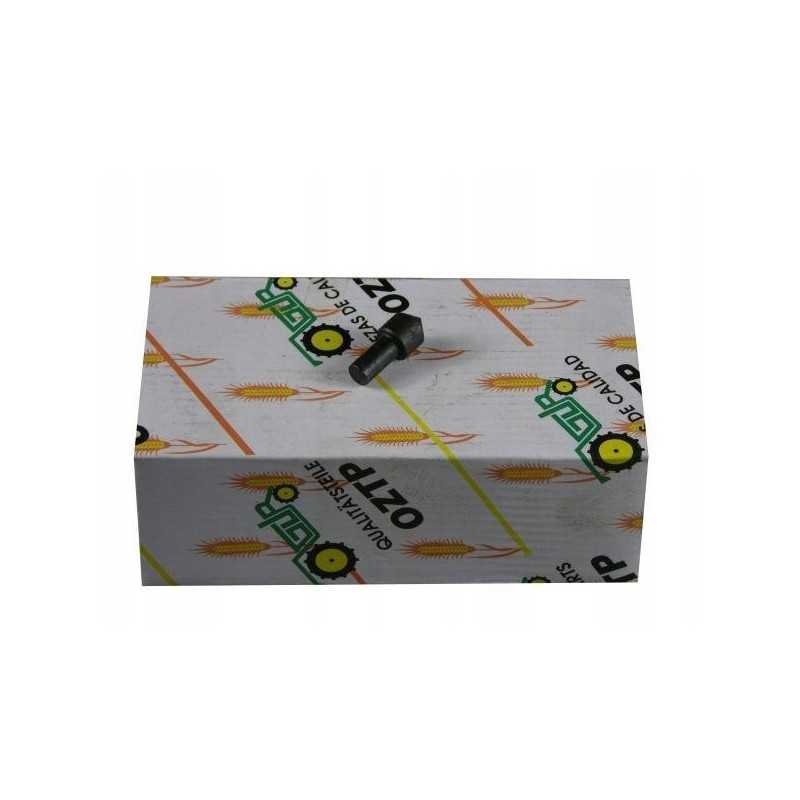 Mf3 rm 180418m1 skląsčio kaištis