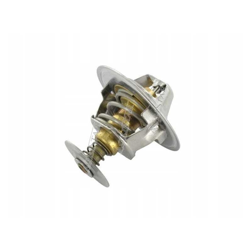 Aušinimo skysčio termostatas