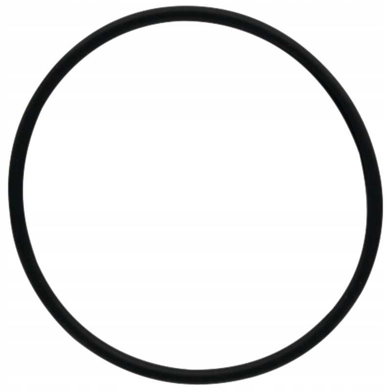 Oring 159001 05 0519 dana prieskonis