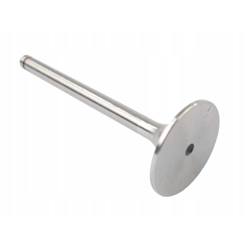 Įsiurbimo vožtuvas c 385 turbo 89005915