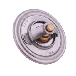 Termostatas sw400 bizon polmo