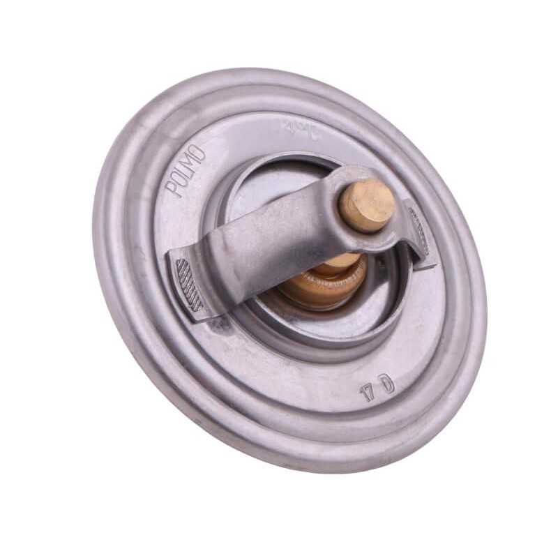 Termostatas sw400 bizon polmo