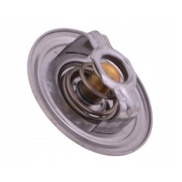 Termostatas sw400 bizon polmo