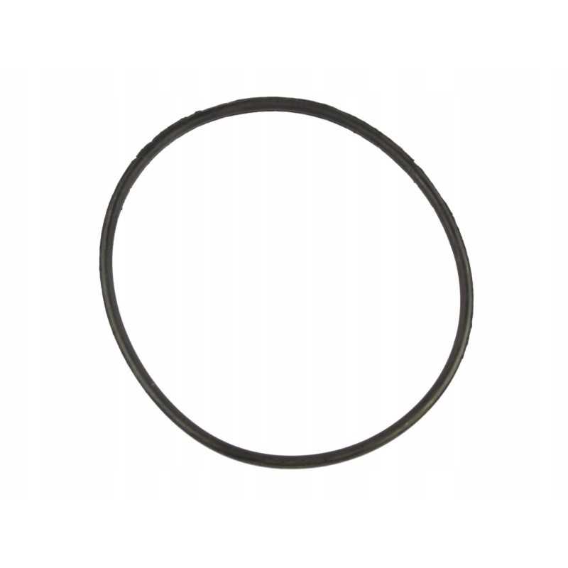 Cilindro įdėklo O žiedas 4 5x122 501002022