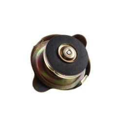 Radiatoriaus dangtelis c 360 50413610