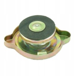 Radiatoriaus dangtelis c 360 50413610