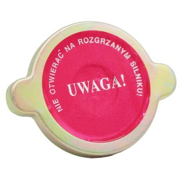 Radiatoriaus dangtelis c 360 50413610