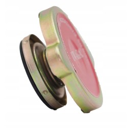 Radiatoriaus dangtelis c 360 50413610