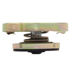 Radiatoriaus dangtelis c 360 50413610