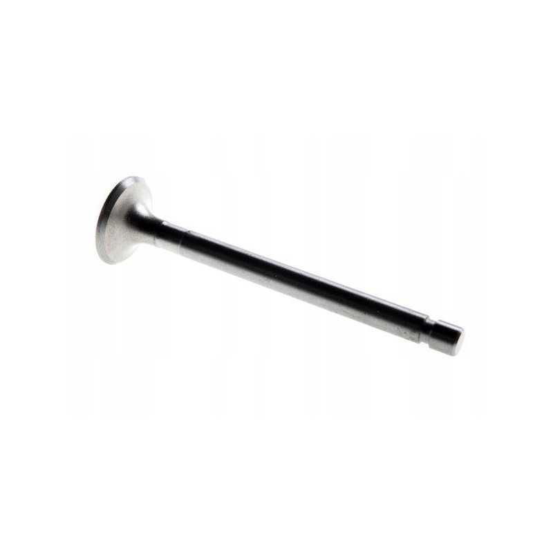 Išmetimo vožtuvas c 360 50505061