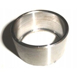 Neptūno guolio ritinys