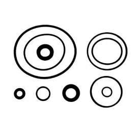 Vairo stiprintuvo siurblio remonto komplektas