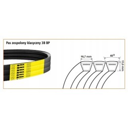 HB 3000 V formos diržas 17 mm bizonas
