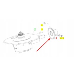 101378143 krumpliaratis