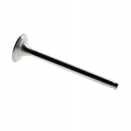 MF3 išmetimo vožtuvas 31431761